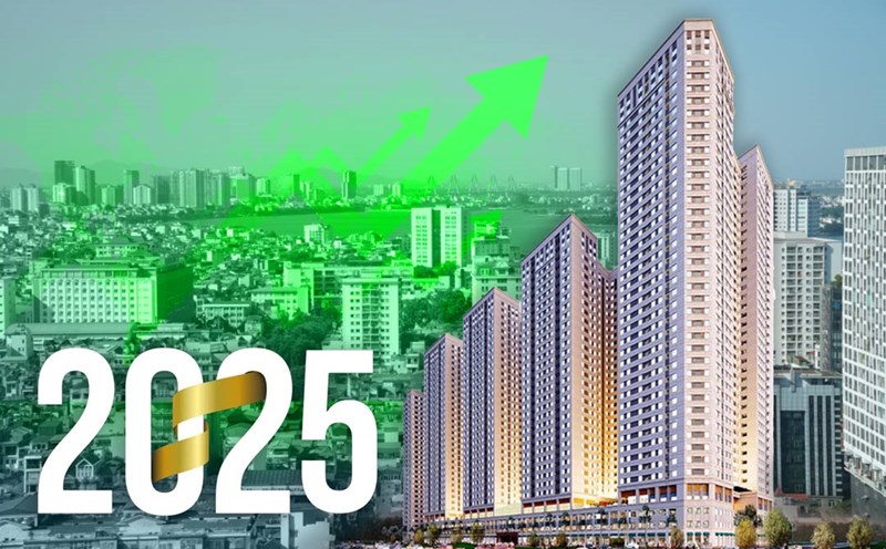 aqua city phát triển