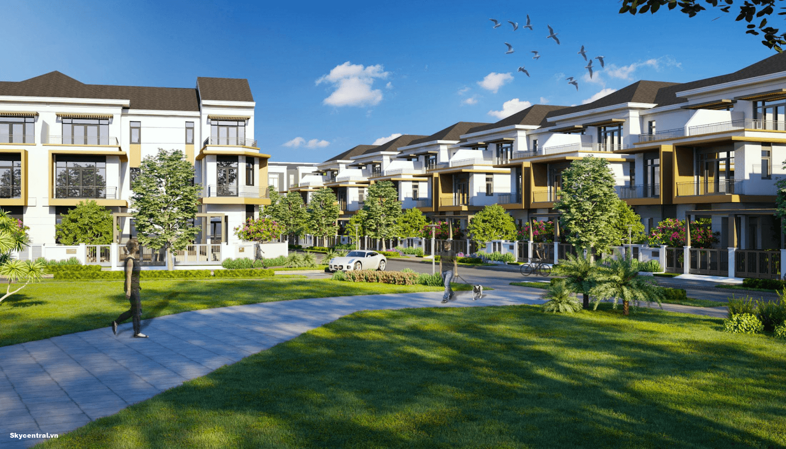 Hướng dẫn mua nhà Aqua City: Cách chọn lựa và thủ tục cần biết